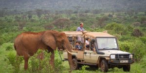 Kenya Safari holidays