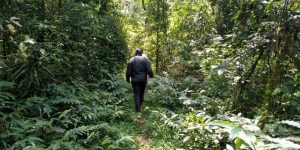Western Kenya & Kisumu holiday deals