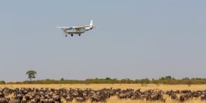 Kenya flight safaris