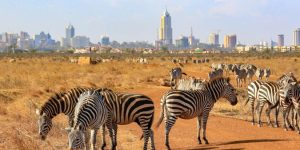 Nairobi Excursions