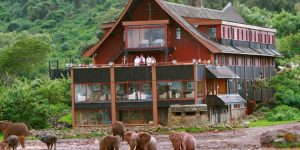 Nyeri, Nanyuki & Mount Kenya region holiday deals