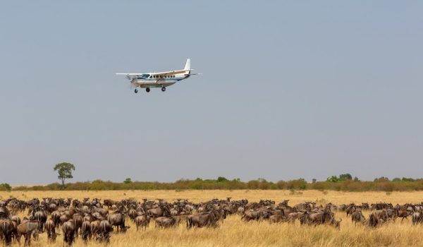 Kenya Flying safari tours