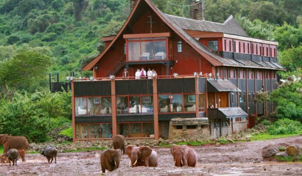 The Ark Lodge - Aberdare National Park in Kenya